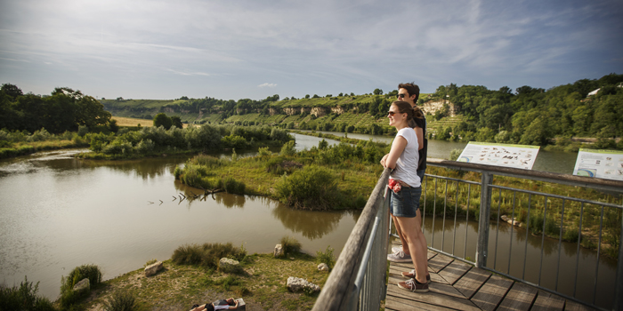 Natur- und Landschaftsführer zeigen die neu geschaffene Flussoase bei Ludwigsburg