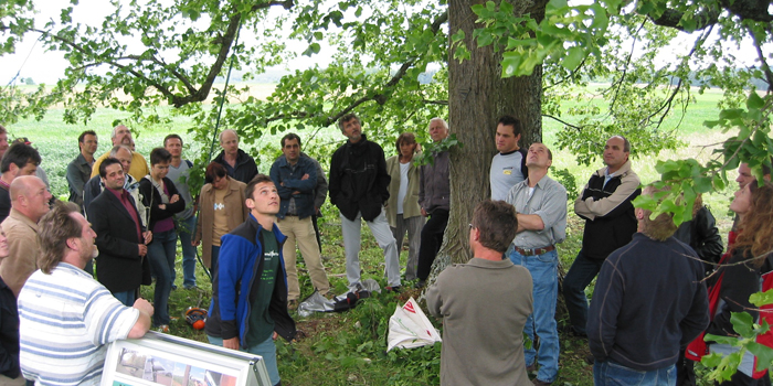 Schulung von Beschäftigten von Bauhöfen, Stadtgärtnereien und Straßenmeistereien zur Baumpflege (Foto: Archiv Umweltakademie Baden-Württemberg)