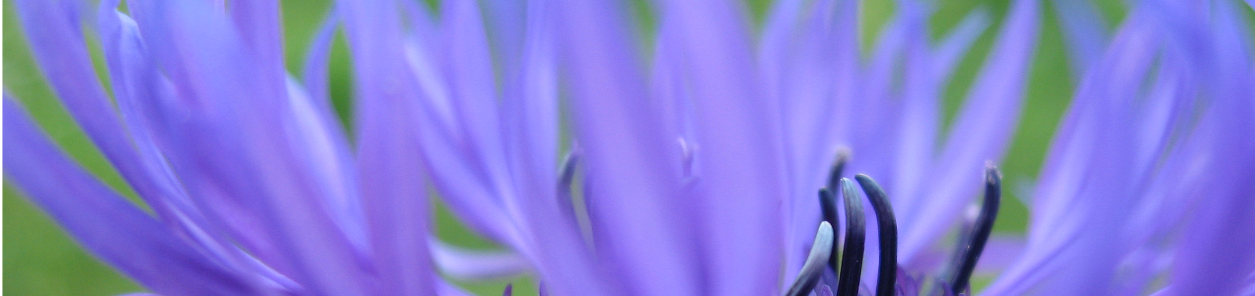 Veranstaltungen 2026