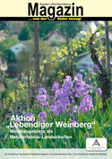 Lebendiger Weinberg