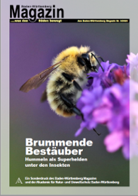 Sonderdruck Brummende Bestäuber 