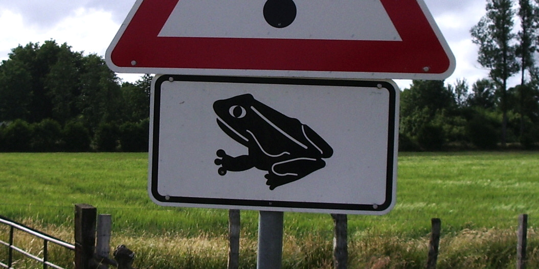 Verkehrsschild Vorsicht Krötenwanderung