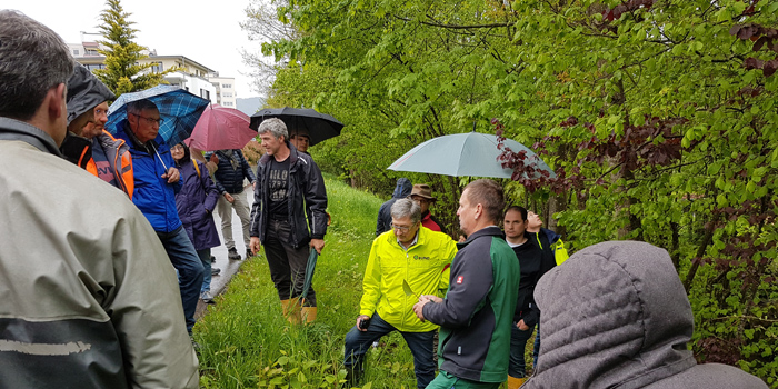 Am Wiesendamm zwischen Hausen und Schopfheim begutachten die Teilnehmer der Tagung die Ausbreitung des Staudenknöterichs