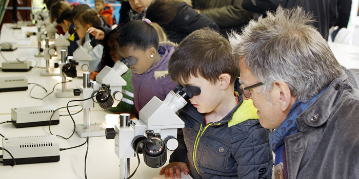 Schüler arbeiten in einem Labor (Foto: Archiv Umweltakademie Baden-Württemberg)